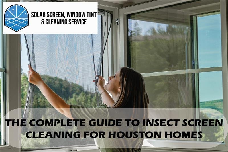 insect screen cleaning