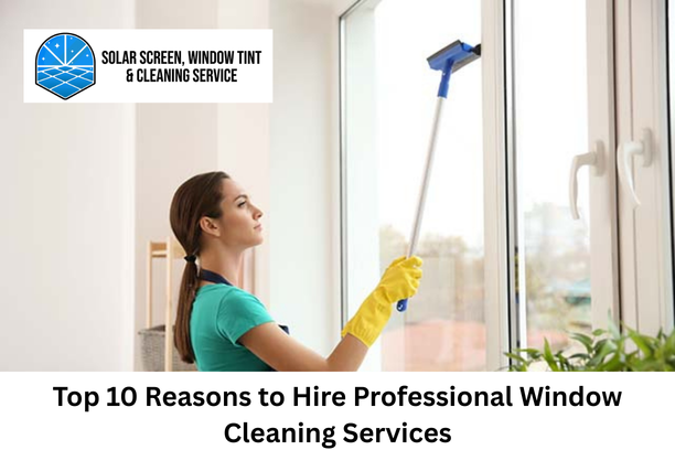 window cleaning services