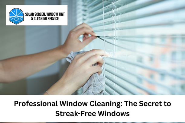 Professional Window Cleaning