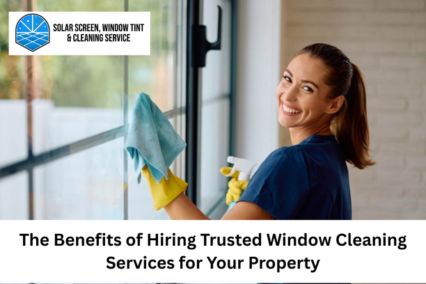 Window Cleaning Services