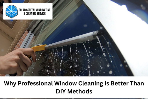 Professional Window Cleaning
