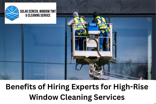 High-Rise Window Cleaning Services