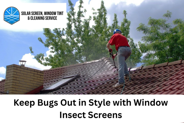 Window Insect Screens