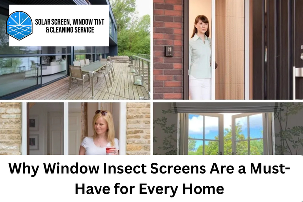 Window Insect Screens