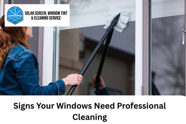 Window Cleaning Service